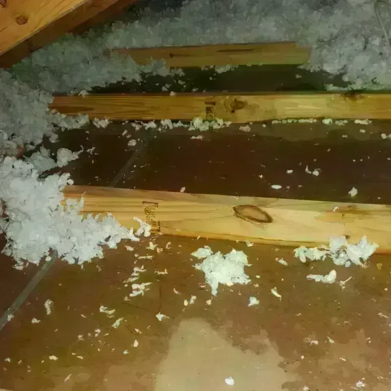 Attic Water Damage in Jessup, PA